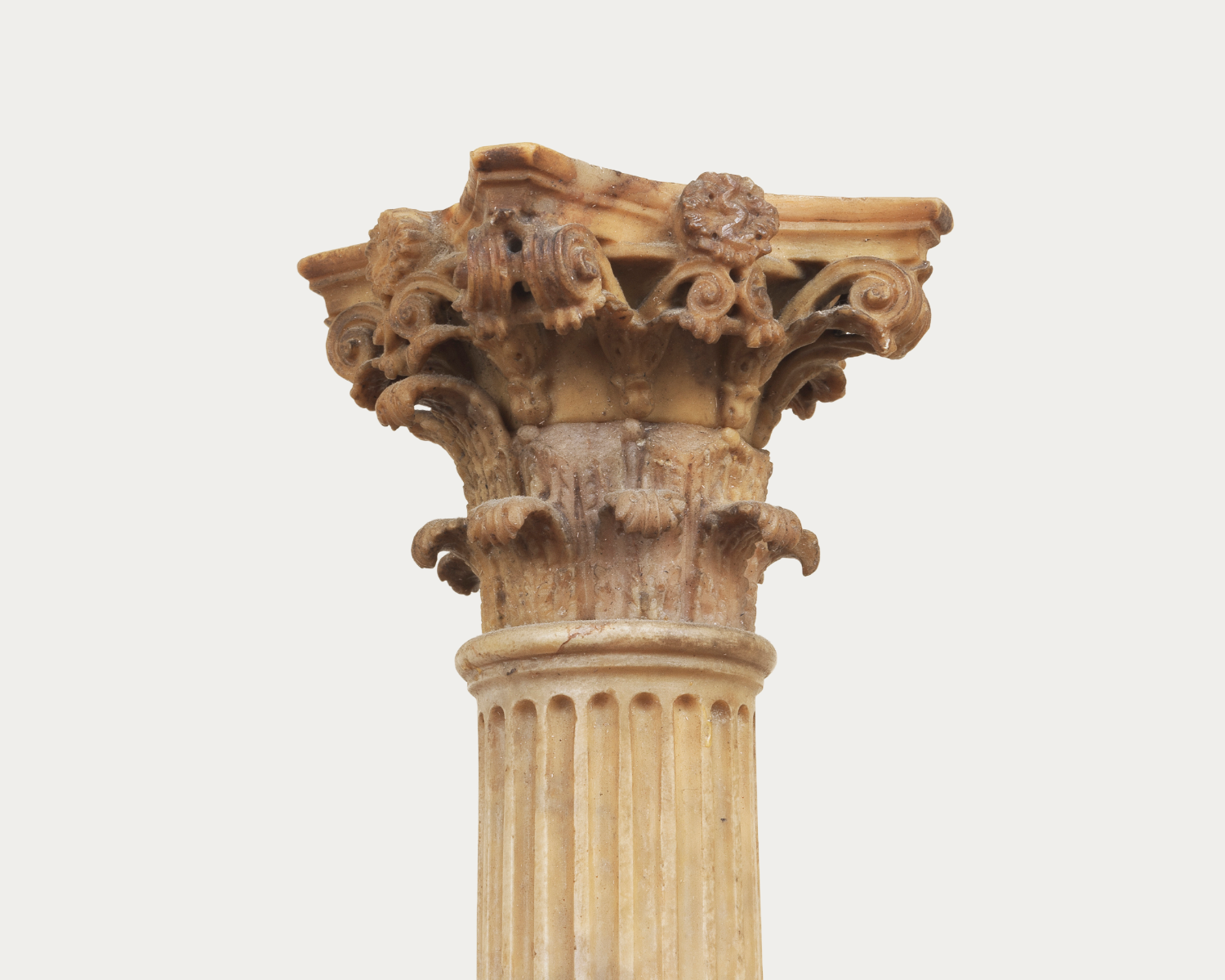 Colonna di foca